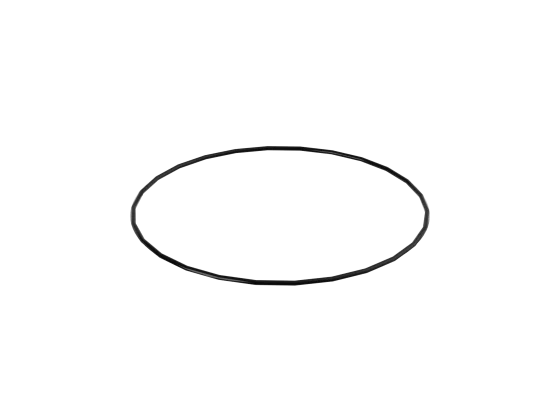 O-Ring