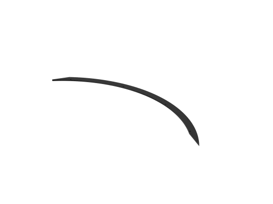 ring segment