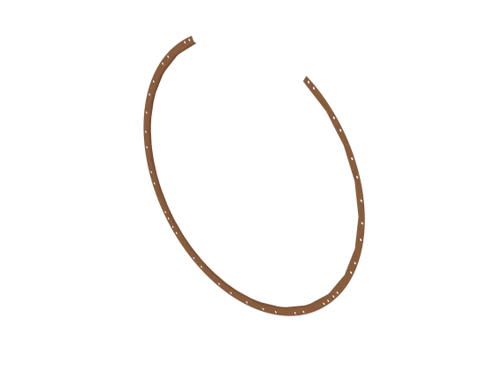 Ringsegment