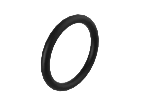o-ring
