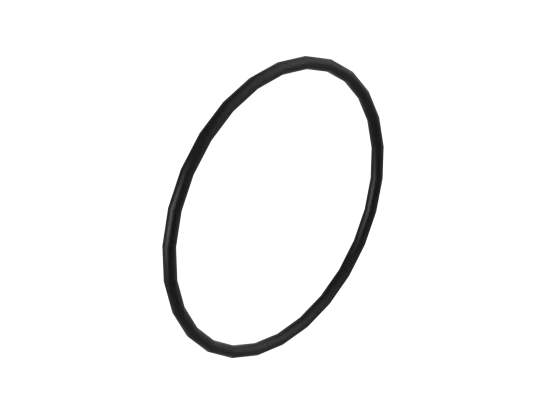 O-Ring