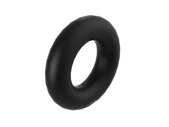 O-Ring