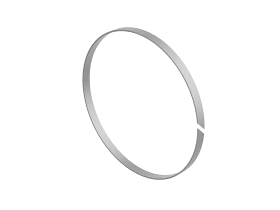 Führungsring