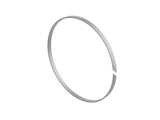 Führungsring