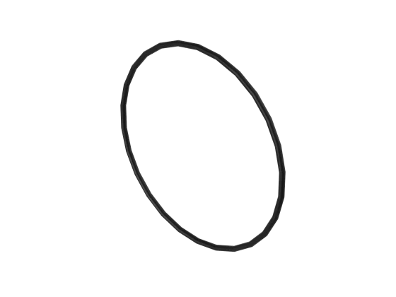 O-Ring
