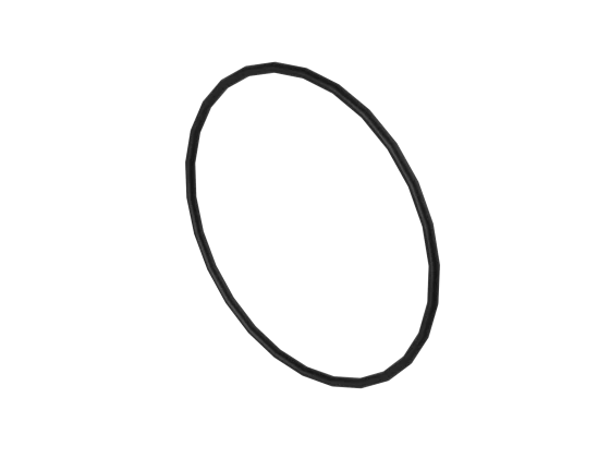 O-Ring