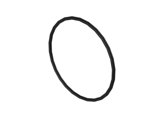 O-Ring
