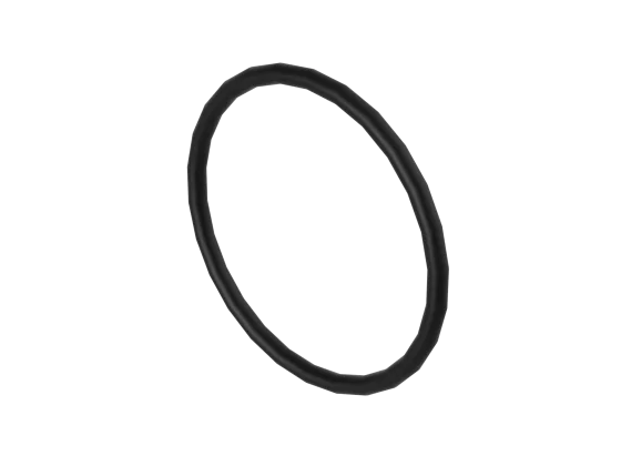 O-Ring