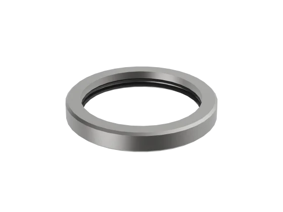 shaft seal ring