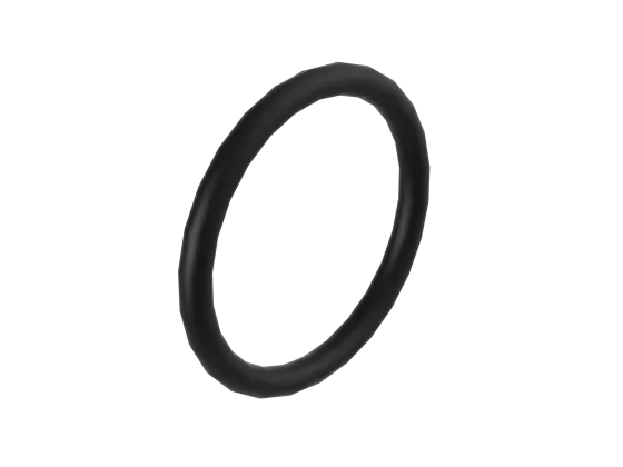 o-ring