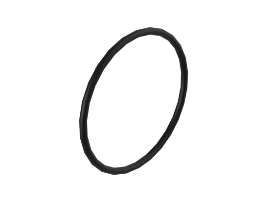O-Ring